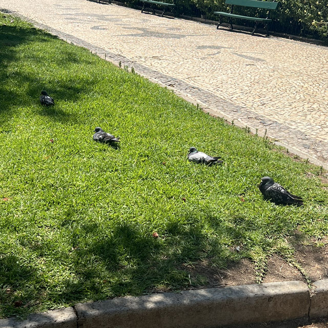 法魯2日遊