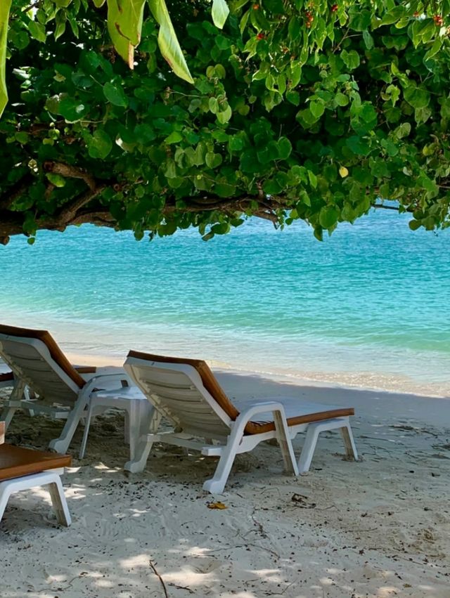 Paradise Found! 🏝️ Our Unforgettable Phi Phi Island Cruise!