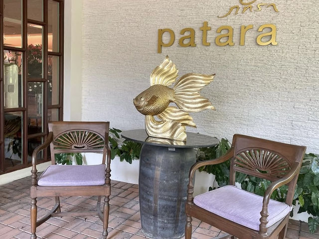 一流ホテルのような空間で味わう芸術的タイ料理🇹🇭