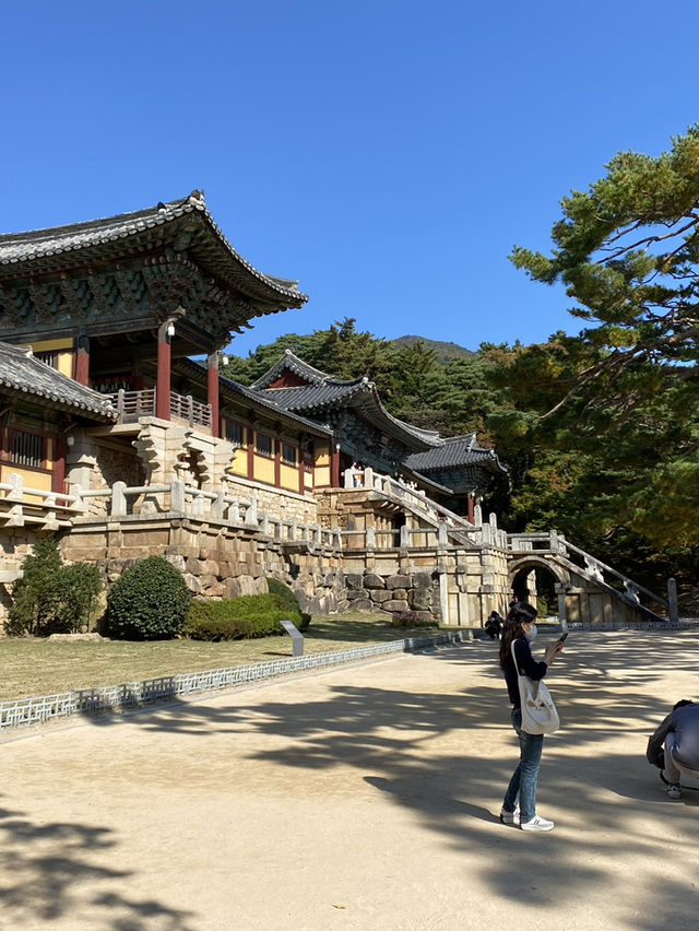 🏯 천년의 숨결을 따라 걷다, 경주 불국사 