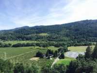 美國加州 舊金山周邊景點 納帕酒莊NAPA