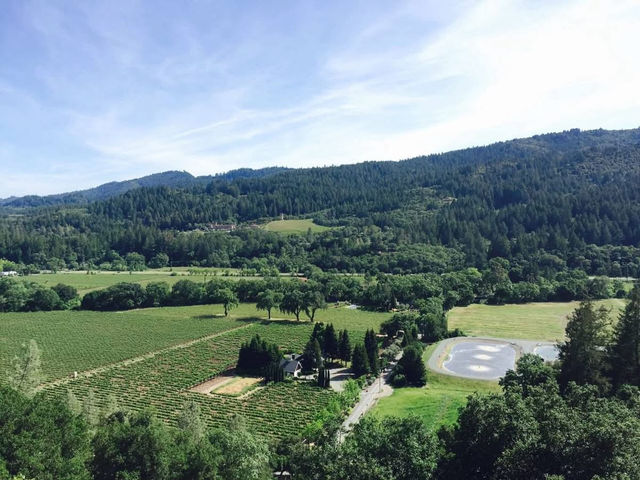 美國加州 舊金山周邊景點 納帕酒莊NAPA