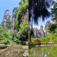 Into the Real-Life Avatar Mountains: A Zhangjiajie Adventure