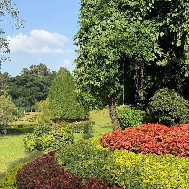 Royal Botanical Gardens (Peradeniya)