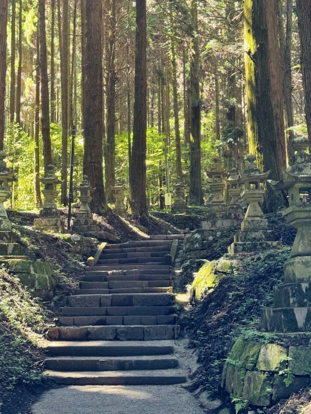 🇯🇵|上色見熊神社⛩️→阿蘇火山🌋→黑川溫泉♨️ 🇯🇵|上色見熊神社⛩️→阿蘇火山🌋→黑川溫泉♨️