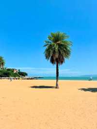 Coastal Charm and Cultural Vibrancy
