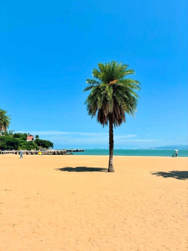 Coastal Charm and Cultural Vibrancy