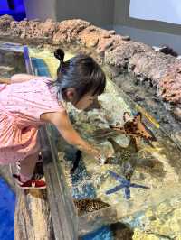 Aquarium in a mall?? Only at Jakarta Aquarium and Safari!