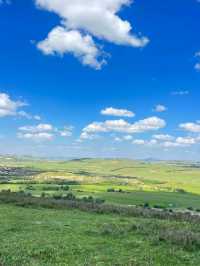 The Heart of the Steppe: Discovering Hohhot