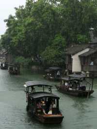 Beyond the Bridges: Discovering Wuzhen