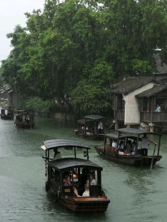 Beyond the Bridges: Discovering Wuzhen