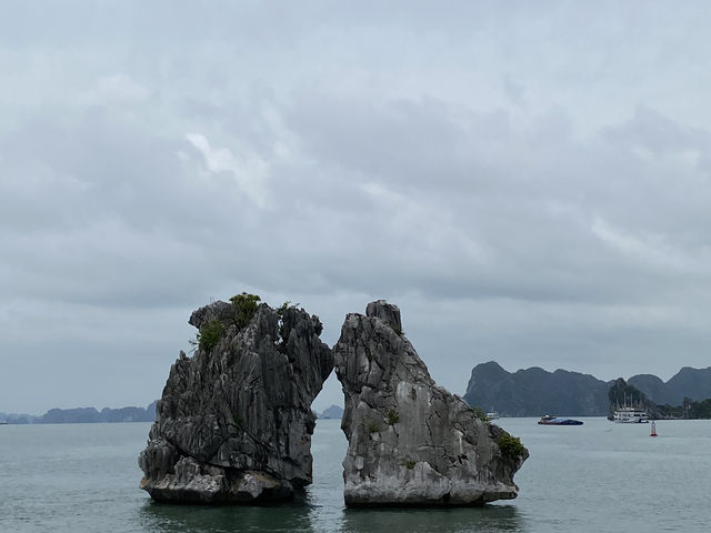 笑顔と感動のハロン湾クルーズ