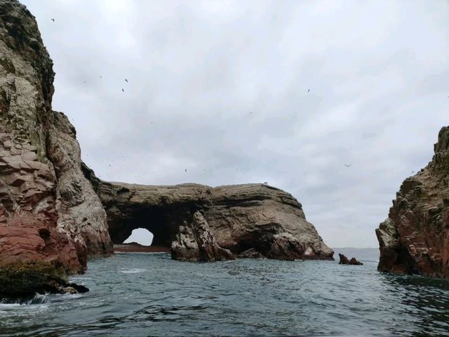 Coastal Breezes and Island Wonders of Paracas
