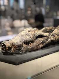 Where Gold Breathes: The Grand Egyptian Museum’s Soul Unveiled