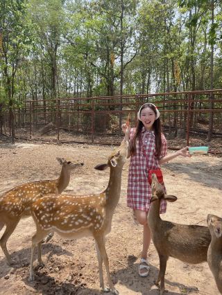 เขาสวนกวางตังหวัดขอนแก่น