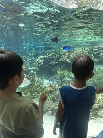 Trip快閃暢遊名古屋水族館