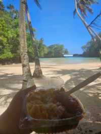 Trip Back Home 🇼🇸