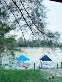 “Explore the Wonders of Paya Wetlands Sepang”