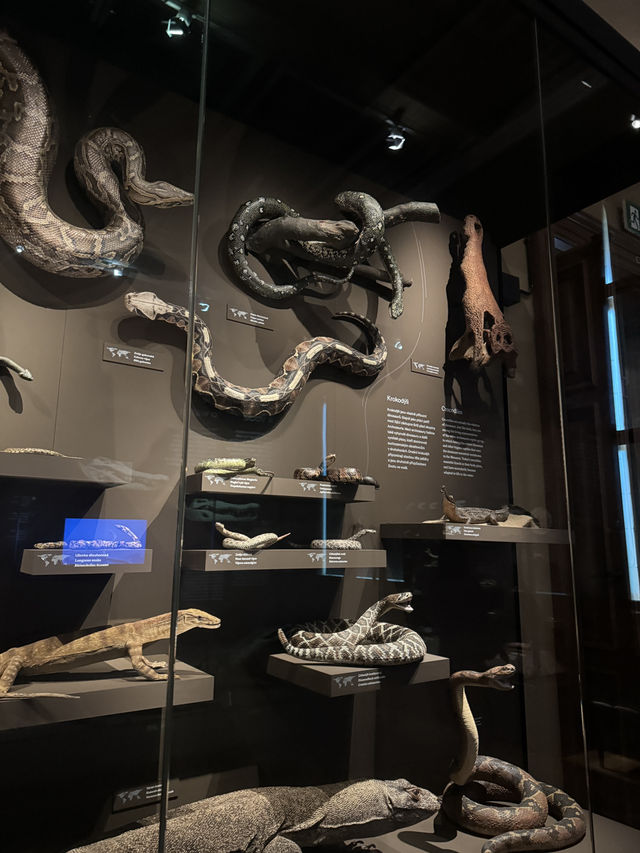 五星必訪！布拉格國家博物館（Národní muzeum）🏫