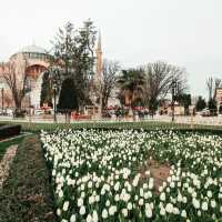 Where Heaven Meets Earth: My Solo Visit to Hagia Sophia