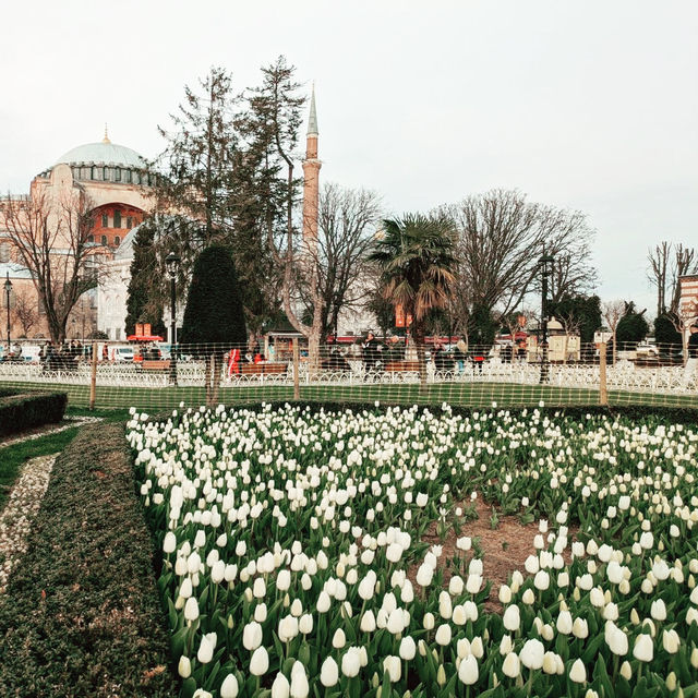 Where Heaven Meets Earth: My Solo Visit to Hagia Sophia