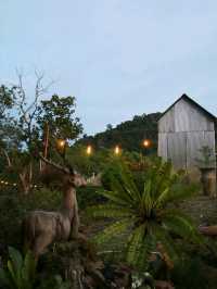 🌿☕✨ Padee in the Wild - Rayong ✨