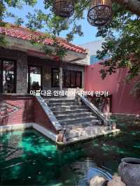 이동건님까페 제주 오아시스 80
