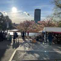 เดินเล่นพาชมบรรยากาศบ่อน้ำชิโนบาสุ 🪷