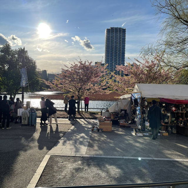 เดินเล่นพาชมบรรยากาศบ่อน้ำชิโนบาสุ 🪷 เดินเล่นพาชมบรรยากาศบ่อน้ำชิโนบาสุ 🪷