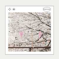 🌸 Nakameguro – ถนนริมคลองกับซากุระบานสะพรั่ง