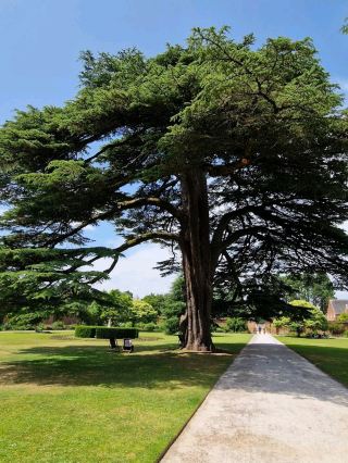 Tredegar House and Gardens