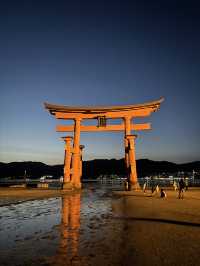 夜晚宮島靜賞建築遠景