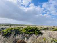 Winter Visits to the 12 Apostles from Melbourne