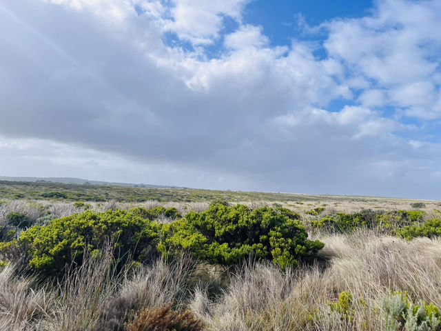 Winter Visits to the 12 Apostles from Melbourne