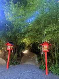 熱海｜隱身在樹林中來宮神社 繞神木一圈能延命一年傳說