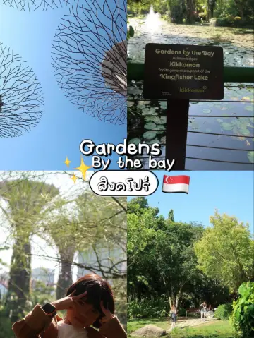 Gardens by the Bay:新加坡的未來感植物園