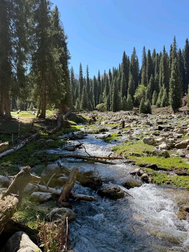 A Hidden Symphony of Meadows and Forests – Kuerdening