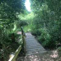 Barley Valley Nature Reserve – Hidden Hills & Meadows Above Exeter