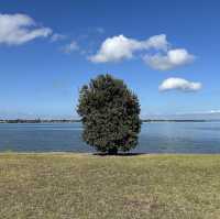 Onehunga Bay Reserve – Lagoon, Beach & Recreation by the Harbour