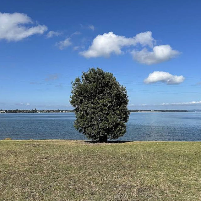 Onehunga Bay Reserve – Lagoon, Beach & Recreation by the Harbour