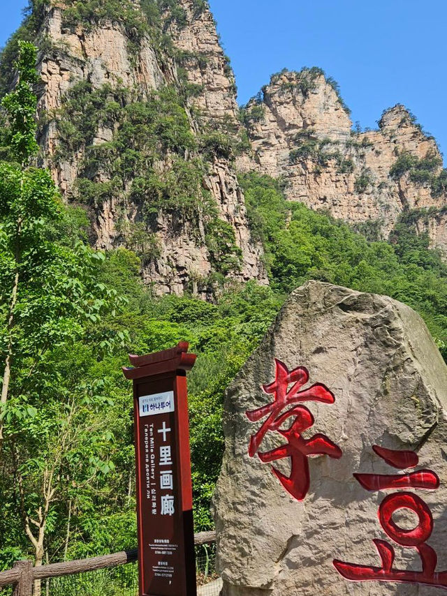 My Dreamlike Trek Through Yuanjiajie