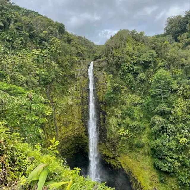 Adventure Awaits on the Big Island