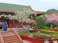 珠海圓明新園親子打卡必去地