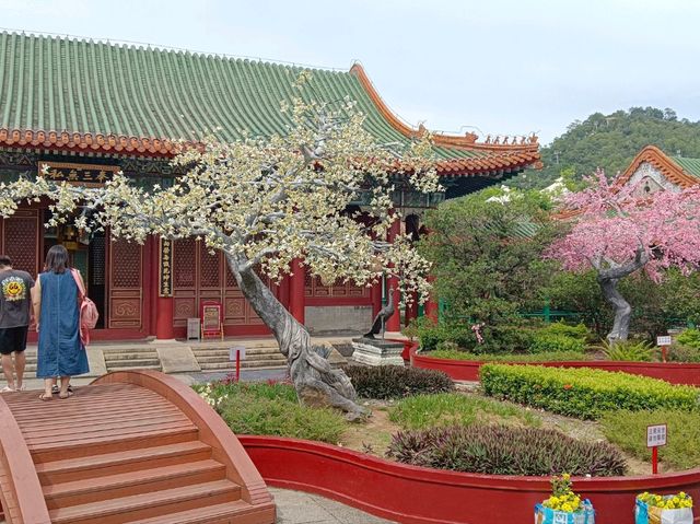 珠海圓明新園親子打卡必去地