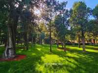 Jingshan Park