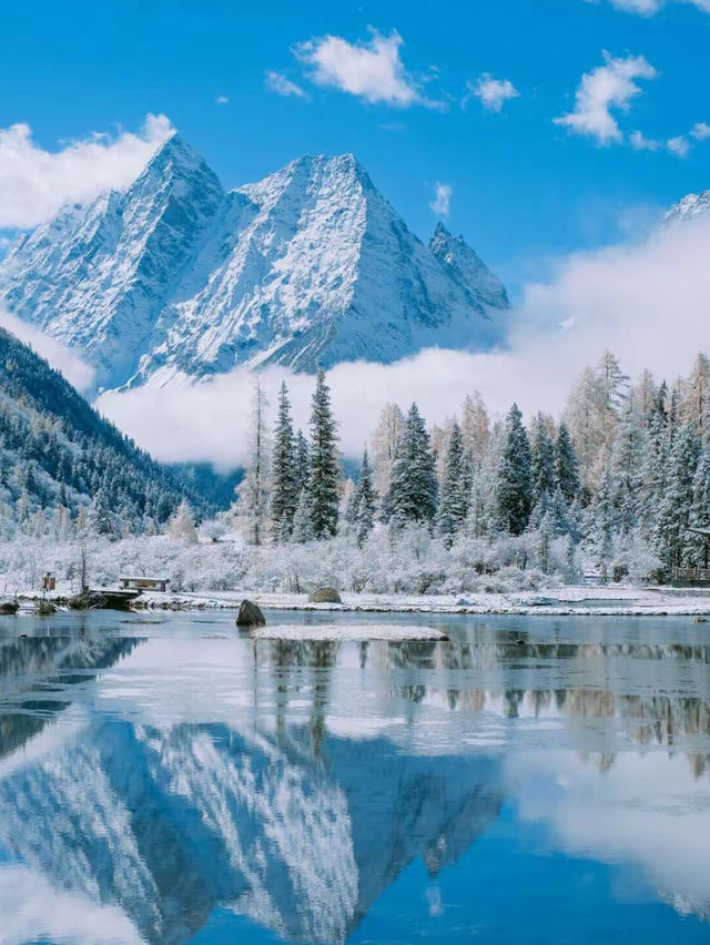 Snow ❄️ 