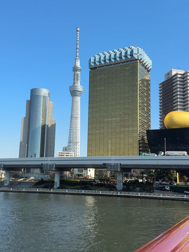 🚶‍♀️ Riverside Weekend Walk at the Sumida River