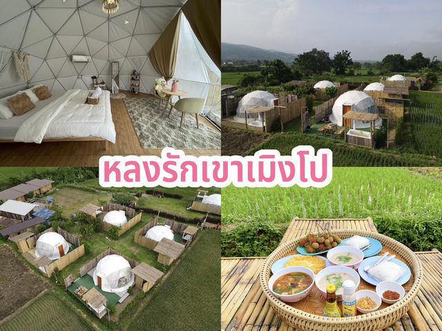 หลงรักเขาเมิงโป  หลงรักเขาเมิงโป