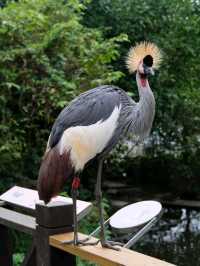 Taipei Zoo
