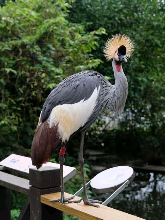 Taipei Zoo